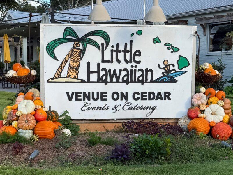 Little Hawaiian Pumpkin Display